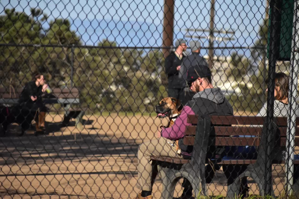 Silver Lake Dog Park